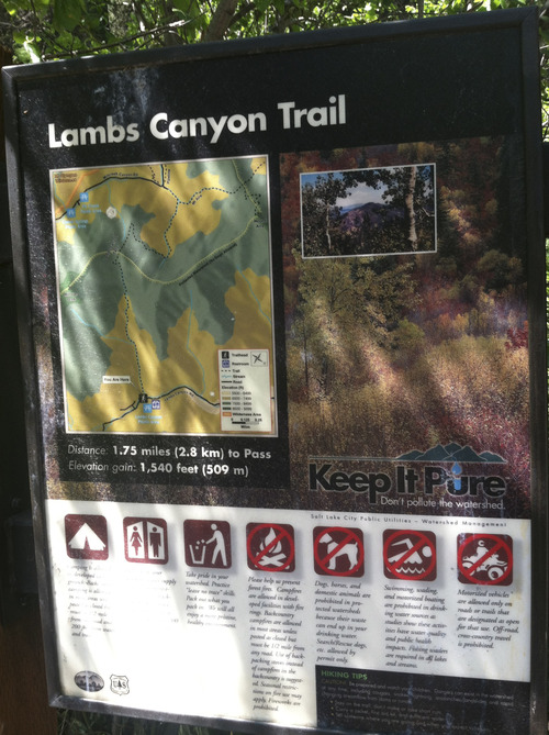 Lindsay Whitehurst | THe Salt Lake Tribune 
Lambs Canyon Trail hike to Lambs Canyon Pass.