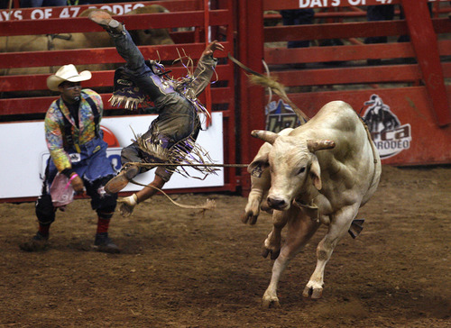 Scott Sommerdorf   |  The Salt Lake Tribune
Ardie Maier of Timber Lake SD, is launched off his bull at The Days of '47 Rodeo at EnergySolutions Arena, Friday, July 19, 2013.