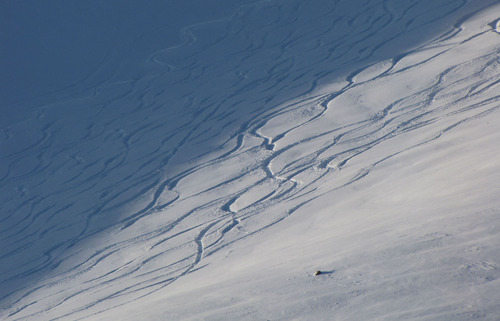Salt Lake City - Powder Mountain cat skiing.  Photo by Francisco Kjolseth/The Salt Lake Tribune 02/10/2009