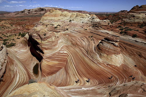 The Wave in the Coyote Buttes of Paria Canyon in Arizona