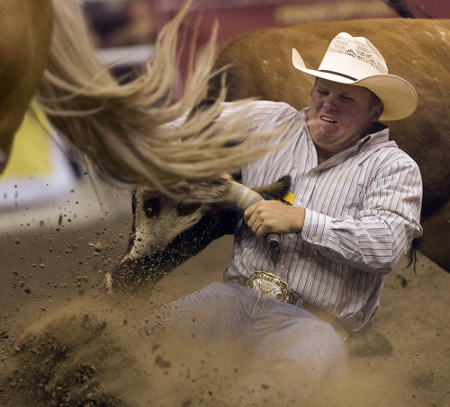 Rick Egan  | The Salt Lake Tribune 

Jeremy Gardner, Live Oak, Calif., competes in the Steer Wrestling competition, in the Days of '47 Rodeo at EnergySolutions Arena, Wednesday, July 24, 2013.