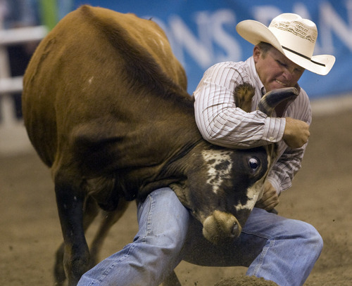 Rick Egan  | The Salt Lake Tribune 

Jeremy Gardner, Live Oak, Calif., competes in the Steer Wrestling competition, in the Days of '47 Rodeo at EnergySolutions Arena, Wednesday, July 24, 2013.
