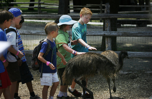 Scott Sommerdorf  |  The Salt Lake Tribune
Visitors to This Is the Place Heritage Park pet emus on Thursday. The park says it has improved animal care after being cited recently with violations of the federal Animal Welfare Act by the USDA.