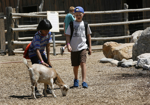 Scott Sommerdorf   |  The Salt Lake Tribune
Visitors pet a goat at This Is the Place Heritage Park, Thursday, July 25, 2013. The park says it has improved animal care after being cited recently with violations of the federal Animal Welfare Act by the USDA.