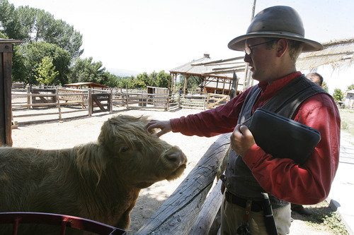 Scott Sommerdorf  |  The Salt Lake Tribune
Alex Stromberg examines a Highlander cow at This Is the Place Heritage Park on Thursday. The park says it has improved animal care after being cited recently with violations of the federal Animal Welfare Act by the USDA.