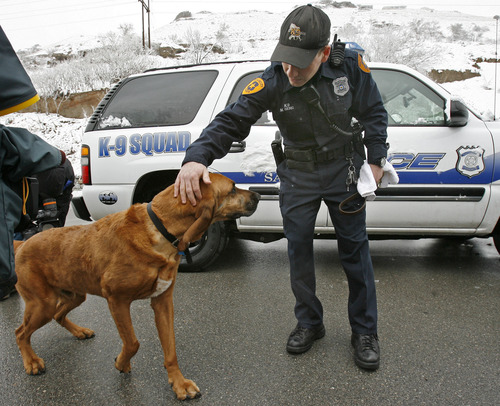 JJ, the police bloodhound and his owner/handler Salt Lake City K-9 officer Mike Serio,  meet with the press in Salt Lake City to dscuss his condition during his recovery from cancer. Steve Griffin/The Salt Lake Tribune