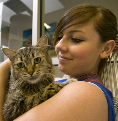 Rick Egan  | The Salt Lake Tribune 

Jessica Speinfeldt pets a cat at the Utah Humane Society, Monday, July 29, 2013. The Humane Society of Utah has reduced the adoption fee for kittens and cats through August to deal with a large influx of adoptable animals.