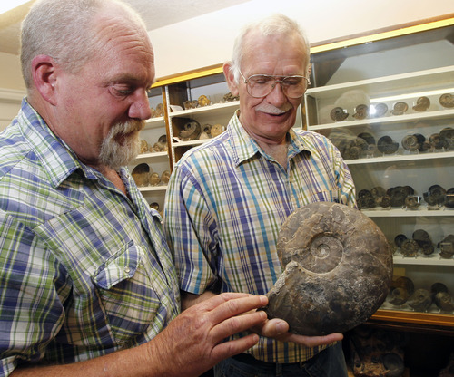 Al Hartmann  |  The Salt Lake Tribune
Kevin Bylund, left, and Jim Jenks examine a large ammonite fossil Jenks found in Nevada. Bylund has been collecting for 40 years and Jenks for 55 years. Jenks has worked with scientists from Europe in ammonite research. Proposed rules on collecting invertebrate and plant fossils on Forest Service lands, and eventually all federal lands, could prevent collectors from not only personal collection, but also in providing new species for researchers to study.