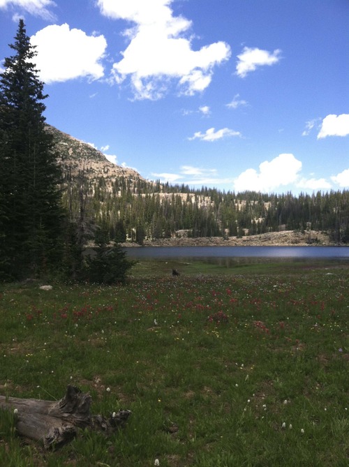 Lindsay Whitehurst | The Salt Lake Tribune
Crystal Lake Trailhead to Long Lake offers several lakes and wildflower-filled clearings.