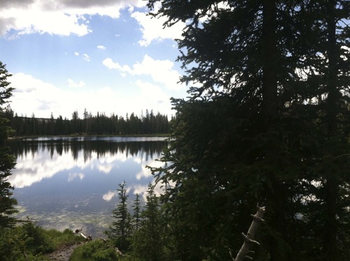 Lindsay Whitehurst | The Salt Lake Tribune
Crystal Lake Trailhead to Long Lake offers several lakes and wildflower-filled clearings.