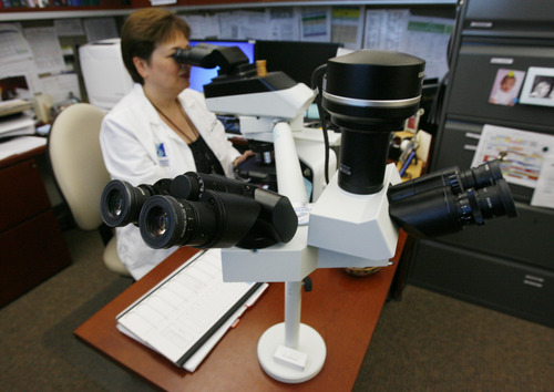 Francisco Kjolseth  |  The Salt Lake Tribune
Mary Bronner, division chief of anatomic pathology at the Huntsman Cancer Institute, uses a high-powered microscope with peripheral heads that allow multiple people to view the same slide. Genetic research is increasing the number of targeted cancer therapies.