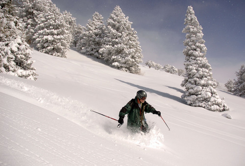Francisco Kjolseth  |  The Salt Lake Tribune
Salt Lake City - Powder Mountain cat skiing.