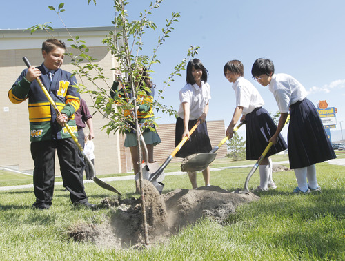 Al Hartmann  |  The Salt Lake Tribune
Student body officers from Matheson Junior High School and students visiting from Magna's sister city of Yuzawa, Japan, plant one of the 30 flowering cherry trees Yuzawa gave to Magna to commemorate 10 years of friendship as sister cities.