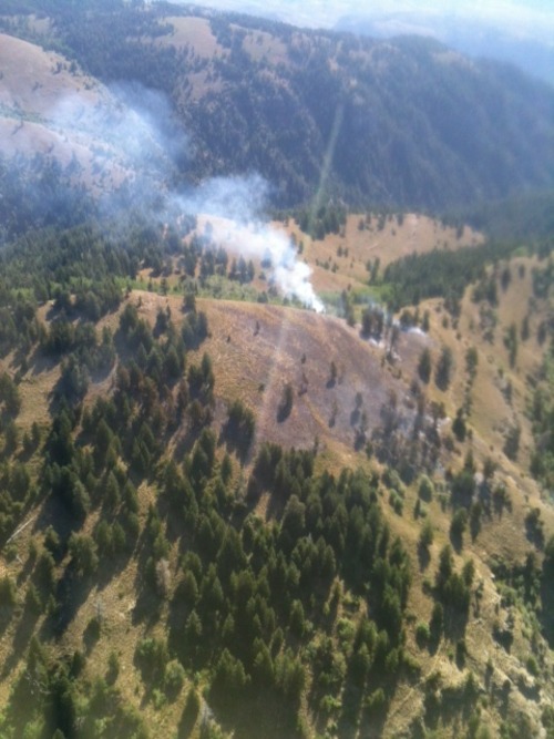 A fire burned Saturday, Aug. 10, 2013, in the Mt. Naomi Wilderness Area. Photo courtesy U.S. Forest Service.