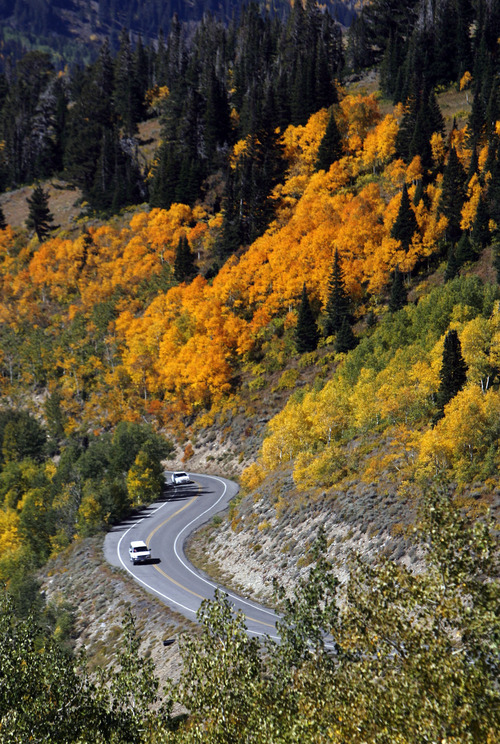 Francisco Kjolseth  |  The Salt Lake Tribune
Cars make their way up to Guardsmans Pass as bands of color light up the mountain landscape during the fall color transformation taking shape on Thursday, September 29, 2011.