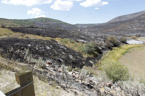 Al Hartmann  |  The Salt Lake Tribune
View of burned mountainside just south of S.R. 32 east of Wanship which burned Tuesday and destroyed a dozen houses in the Rockport Estates.  The fire flared up again Wednesday afternoon.