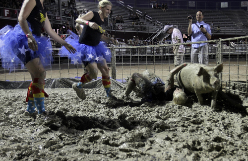 Keith Johnson | The Salt Lake Tribune

Team "Wonder Women" members Theresa Mclay, Linda Patterson, Rachel Gordon and Heather Adams  try to tackle a pig and put it in a barrel in the fastest time during the Utah County Fair pig wrestling competition at the Spanish Fork Fairgrounds August 14, 2013. The Utah County Fair runs through Saturday.