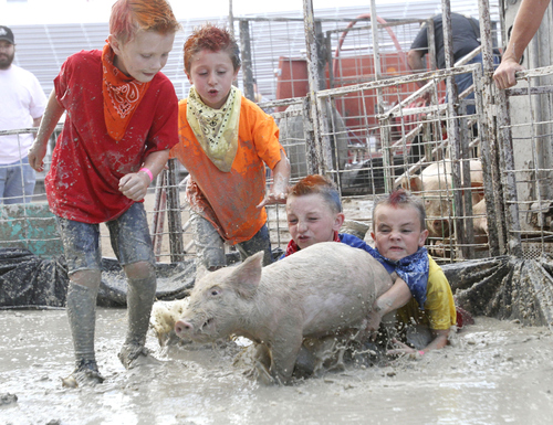 Keith Johnson | The Salt Lake Tribune

Team "Muddy Buddies" members Kolton Bennett, Aidan Goates, Easton McDonald and Carter Jones try to tackle a pig and put it in a barrel in the fastest time during the Utah County Fair pig wrestling competition at the Spanish Fork Fairgrounds August 14, 2013. The Utah County Fair runs through Saturday.