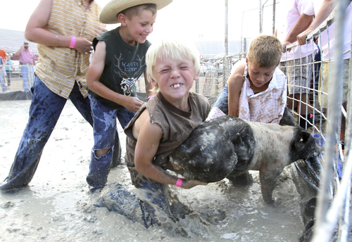 Keith Johnson | The Salt Lake Tribune

Team "Call of the Wildmen" members Cole Sorensen, Cinch Sorensen, Tate Sorensen and Garrett Smith try to tackle a pig and put it in a barrel in the fastest time during the Utah County Fair pig wrestling competition at the Spanish Fork Fairgrounds August 14, 2013. The Utah County Fair runs through Saturday.