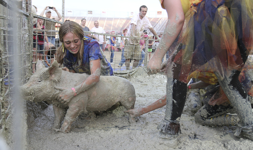 Keith Johnson | The Salt Lake Tribune

Lacey Hjorth and the "Dirty Devils," made up of Springville High FFA members (Taelor Craudell, Katelynn Axford,  and Andalyn Hall) try to tackle a pig and put it in a barrel in the fastest time during the Utah County Fair pig wrestling competition at the Spanish Fork Fairgrounds August 14, 2013. The Utah County Fair runs through Saturday.
