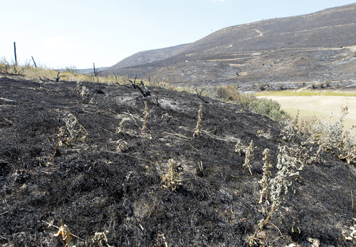 Al Hartmann  |  The Salt Lake Tribune
Rockport fire came almost to the edge of SR 32 a few miles east of Wanship.
