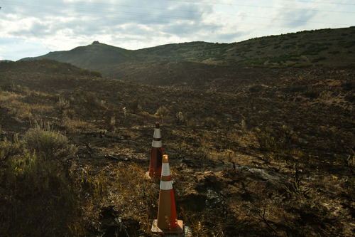 Chris Detrick  |  The Salt Lake Tribune
Burned scrub oak and charred mountainside from the Rockport 5 Fire Friday August 16, 2013.