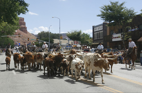 Rick Egan   |  The Salt Lake Tribune

A heard of Longhorn Cattle walk up the main street in Kanab, leading the parade during the Western Legends Round Up Saturday August 28, 2010.
