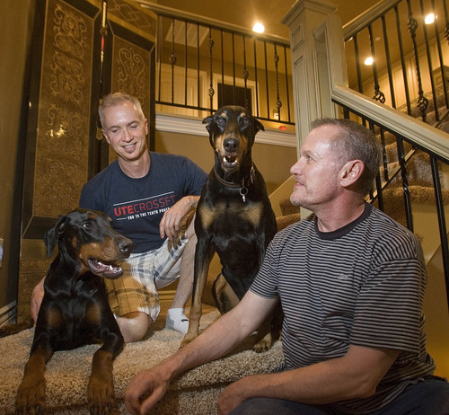 Paul Fraughton  |  The Salt Lake Tribune
Mike Talbot, left, and Steve Moser were grateful to have pet insurance when their 6-year-old Doberman, Cliff, became seriously ill. "I can't tell you enough the burden that was lifted knowing that we could make decisions based on medicine instead of whether it would break the bank," Moser said. Here, they are pictured with their Dobermans River, left, and Skye.