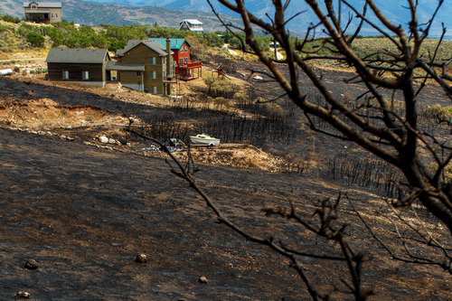 Trent Nelson  |  The Salt Lake Tribune
Homes spared from the fire in the Lake Rockport Estates, Thursday August 22, 2013. A Utah program requires new construction to reduce brush and trees around houses. This fuels mitigation strategy creates a defensible space so that wildfires have a decreased chance of burning structures.