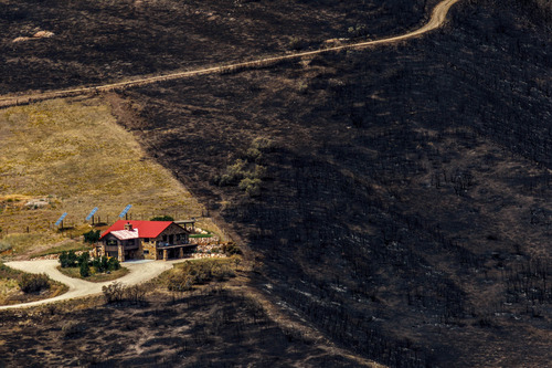 Trent Nelson  |  The Salt Lake Tribune
A home spared from the fire in the Lake Rockport Estates, Thursday August 22, 2013. A Utah program requires new construction to reduce brush and trees around houses. This fuels mitigation strategy creates a defensible space so that wildfires have a decreased chance of burning structures.