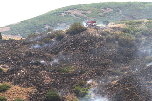 Rick Egan  |  The Salt Lake Tribune 
A grass fire in the Rosecrest area of Herriman burns, Saturday, August 24, 2013.