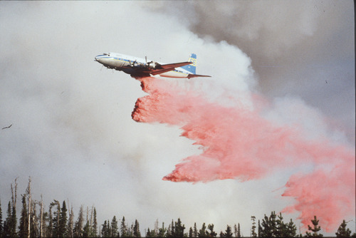 Paul Fraughton  |  The Salt Lake Tribune

A plane dumps retardant during the fires at Yellowstone National Park in 1988.