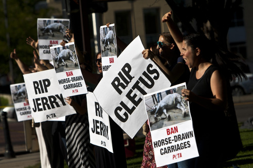 Chris Detrick  |  The Salt Lake Tribune
People hold signs during a vigil for Jerry the horse put on by Utah Animal Rights Coalition outside of the Salt Lake City and County Building Tuesday August 27, 2013.  Jerry, a 13-year-old horse died on Friday, about a week after he collapsed while pulling a carriage in downtown Salt Lake City.