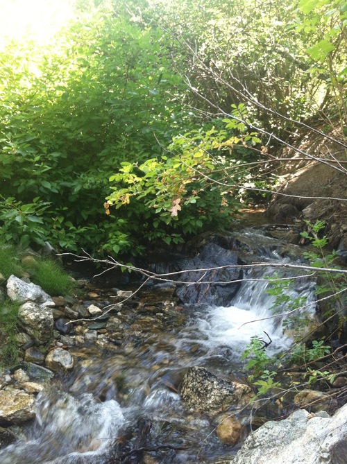 Duele Creek in Davis County.
Lindsay Whitehurst  |  The Salt Lake Tribune