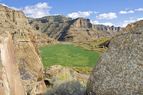 Al Hartmann  |  Salt Lake Tribune
Ranch with green alfalfa field is tucked beneath the cliffs of Nine Mile Canyon in the western part of the Book Clifs.