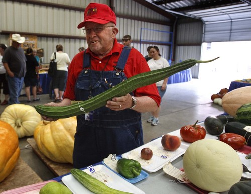 Leah Hogsten  |  The Salt Lake Tribune
Bart Anderson, 81, holding a giant okra, has spent two decades overseeing the agriculture and produce entries at the Utah State Fair on Saturday. From giant pumpkins to okra and honey, he manages it all with the help of "Bart's Bible," his rules and regulations book that guides each year's competition.