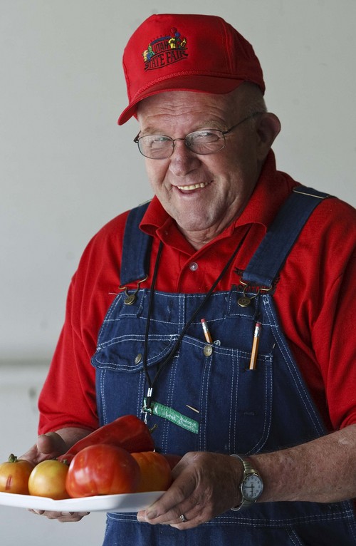 Leah Hogsten | The Salt Lake Tribune
Master gardener Bart Anderson, 81, has developed his own variety of tomato: Bart's Best that took 15 years to get the perfect plant from a German seed,  Saturday, September 7, 2013. Bart Anderson, 81, has spent two decades overseeing the agriculture and produce entries at the Utah State Fair. From giant pumpkins to okra and honey, he manages it all with the help of "Bart's Bible," his rules and regulations book that guides each year's competition.