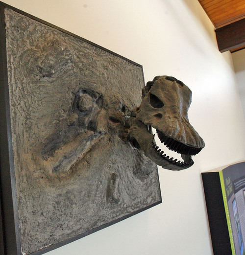 Diplodocus display at The Cleveland-Lloyd Dinosaur Quarry 30 miles south of Price. Rick Egan/The Salt Lake Tribune  4/13/2007