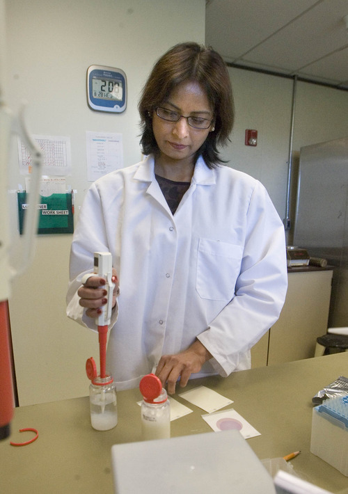 Paul Fraughton  |  The Salt Lake Tribune
Microbiologist Sushma Karna performs a test looking for coliform bacteria in a milk sample. The milk laboratory is one of several labs taking up the third floor of the Utah State Agriculture Building on Redwood Road.   Wednesday, August 28, 2013