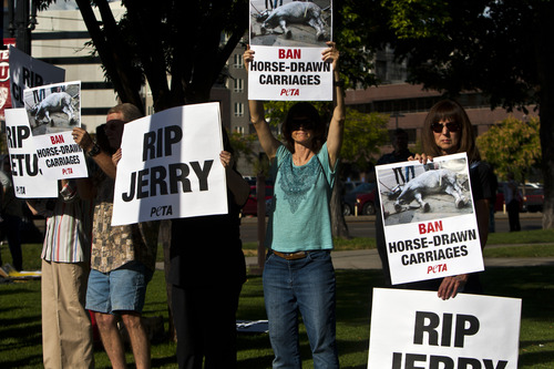 Chris Detrick  |  Tribune file photo
People hold signs during a vigil for Jerry the horse put on by Utah Animal Rights Coalition outside of the Salt Lake City and County Building last month. Jerry the horse collapsed and later died, spurring some to call for a ban on horse-carriage rides. The City Council on Tuesday voted against a ban.