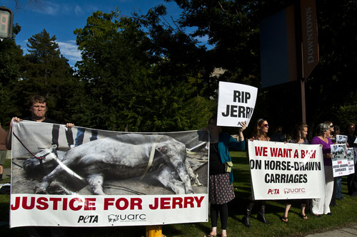 Chris Detrick  |  The Salt Lake Tribune
Skip Rynearson, of Taylorsville, and others hold signs during a vigil for Jerry the horse put on by Utah Animal Rights Coalition outside of the Salt Lake City and County Building Tuesday August 27, 2013.  Jerry, a 13-year-old horse died on Friday, about a week after he collapsed while pulling a carriage in downtown Salt Lake City.