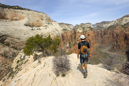 Zion was established as Makuntaweap National Monument on July 31, 1909 by President William Taft and later became Zion National Park.  A hiker takes in the view from the top of the Angel's Landing Trail before decending to the canyon bottom.      Al Hartmann/The Salt Lake Tribune     3/25/2009