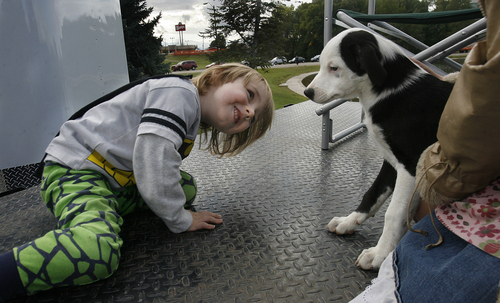 Scott Sommerdorf   |  The Salt Lake Tribune
Two year old Alexander Bonner gets down to dog-level to say hello to "Cookie," a puppy for sale at the Sugar House Farmer's Market on Friday.