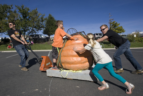 Rick Egan  | The Salt Lake Tribune 

It takes three people to move a giant pumpkin, at the Utah Giant Pumpkins annual pumpkin weigh-off at Thanksgiving Point on Saturday, September 28, 2013.