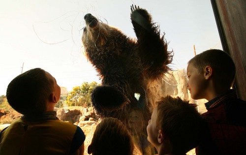 Leah Hogsten | The Salt Lake Tribune
Mini-superheros get up close to a grizzly bear licking honey off the enclosure's window as visitors learn about a bear's super sense of smell, clawing and digging power and the fact that they're super sleepers.  Costumed kids roamed Hogle Zoo Saturday, October 5, 2013, during Zooperhero Day to learn about the super strength, sight, hearing and smells that the zoo animals have.