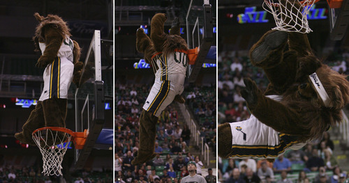 Leah Hogsten  |  The Salt Lake Tribune
In this composite image, Utah Jazz Bear squeezed himself through the basketball hoop during the scrimmage. Utah Jazz fans filled  EnergySolutions Arena to get a glimpse at this year's players during the annual scrimmage Saturday, October 5, 2013. The Jazz roster currently includes 20 players, but NBA rules require that that number must be reduced to 15 by opening night, Oct. 30 against Oklahoma City.