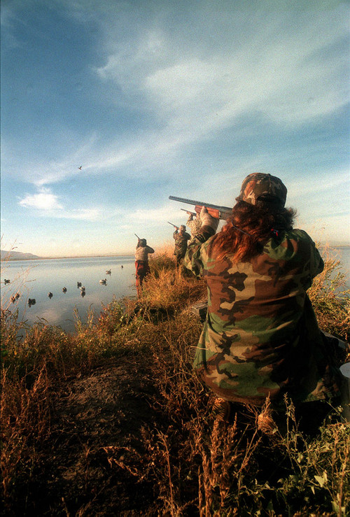 |  Tribune file photo

Hunters zero in on a duck for the kill at Farmington Bay.
