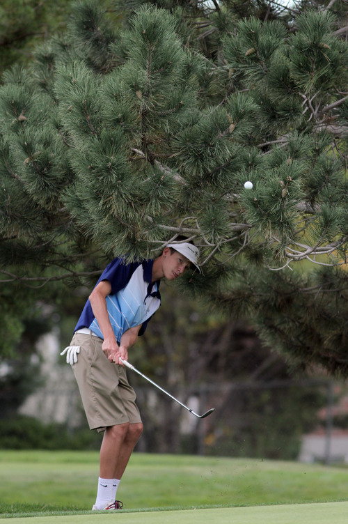 Francisco Kjolseth  |  The Salt Lake Tribune
Trey Higgins is crowded by pine needles as he fires one out while competing in the 5A boys' state golf tournament at the Alpine Country Club in Highland on Tuesday, Oct. 8, 2013.