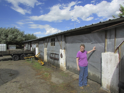 Tom Wharton | The Salt Lake Tribune
Michele Dugdale stands near her family barn in Springville.