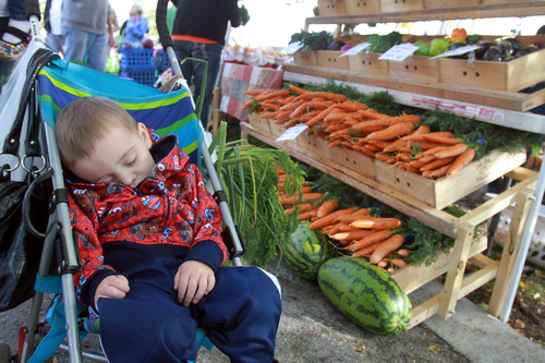 Keith Johnson | The Salt Lake Tribune
 
Mason Belliston, 2, sleeps in his stroller while his parents browse organic produce at the Farmer's Market a Pioneer Park in downtown Salt Lake City, October 12, 2013. Beginning Nov. 9, the Downtown Winter Farmers Market will take up residence in the Rio Grande Depot every other Saturday from 10 a.m. to 2 p.m. through April 26.